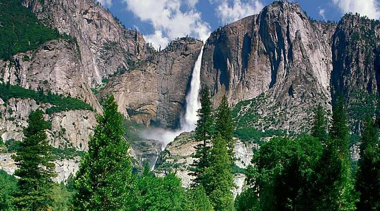 Yosemite N.P.